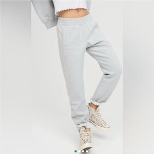 Offline by Aerie Throw-Back Fleece Jogger Gray Small Short